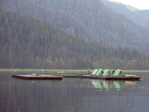 Floating docks with "tent city"